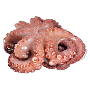 Pulpo