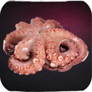 Pulpo