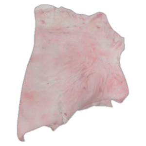 Cuero de pierna