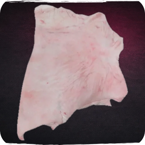 Cuero de pierna