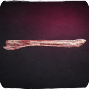 Esofago