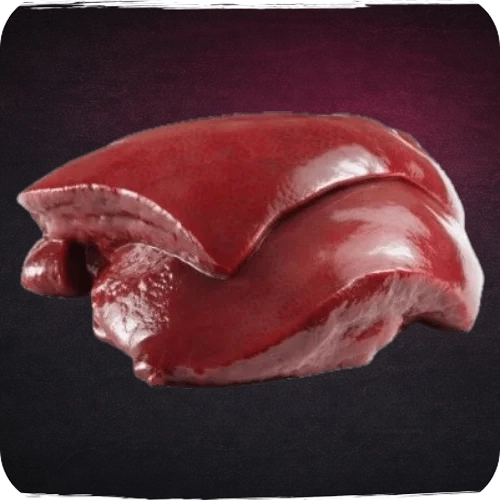 Higado