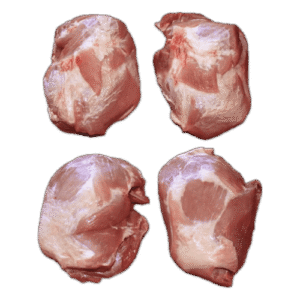 Inner Shank