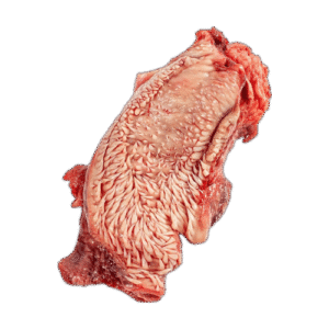 Labio