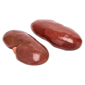 Riñon