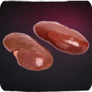 Riñon