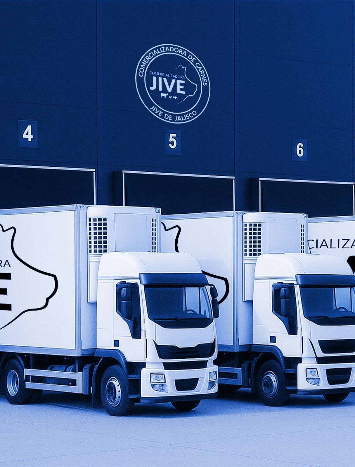 Sobre-Comercializadora-Jive