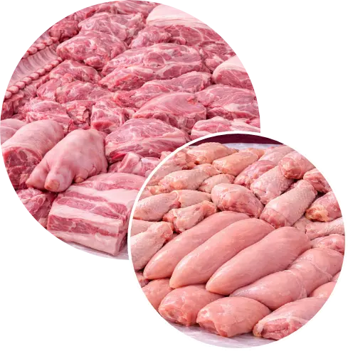 Carne de cerdo y pollo frescos para venta al mayoreo en Mexico Carne de cerdo y pollo frescos para venta al mayoreo en Mexico