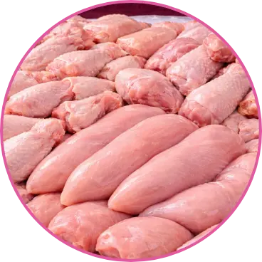 Carne de pollo fresca para venta al mayoreo
