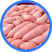 Carne de pollo fresca para venta al mayoreo