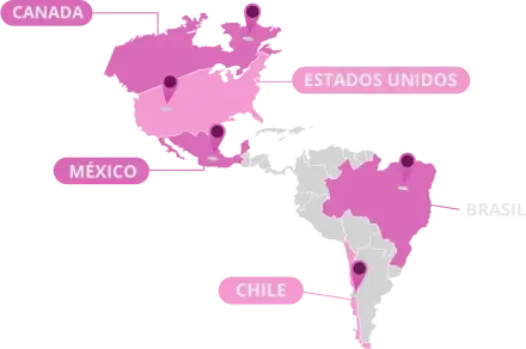Distribucion internacional de carne Mapa de distribucion de carne en Mexico, Estados Unidos y otros paises