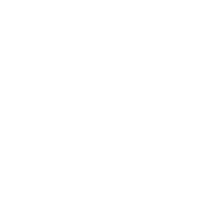 Icono de pollo representando carne de pollo al mayoreo