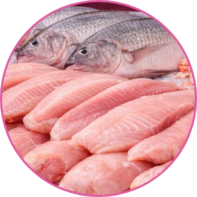 Pescado fresco para venta al mayoreo