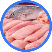 Pescado y marisco frescos para venta al mayoreo